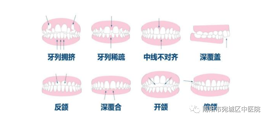 圖片8
