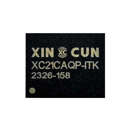 XC21CAQP-ITK