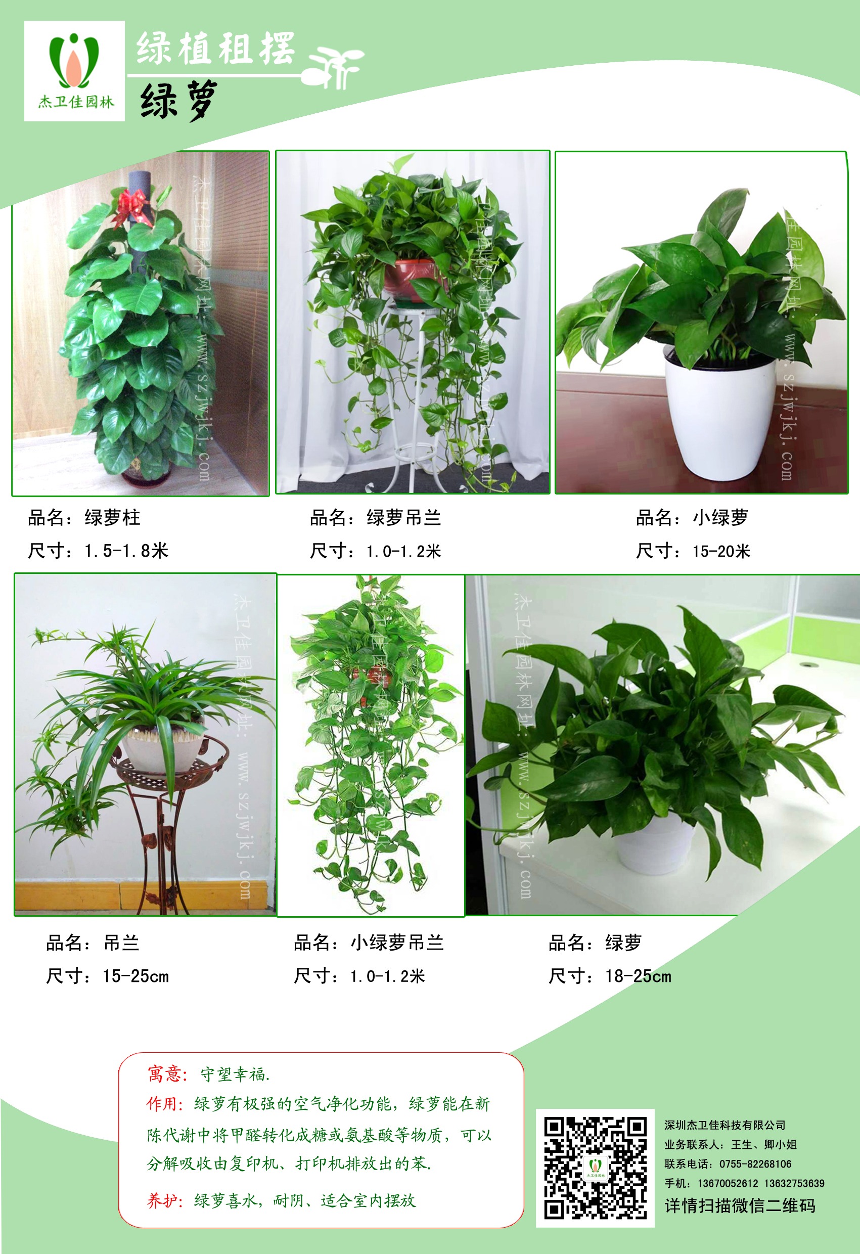 3绿萝副本