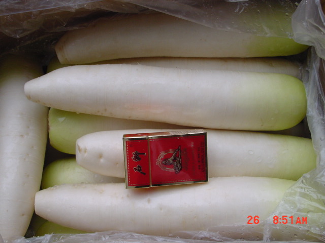 白萝卜