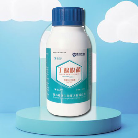 丁酸梭菌