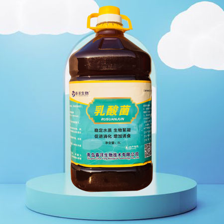 乳酸菌