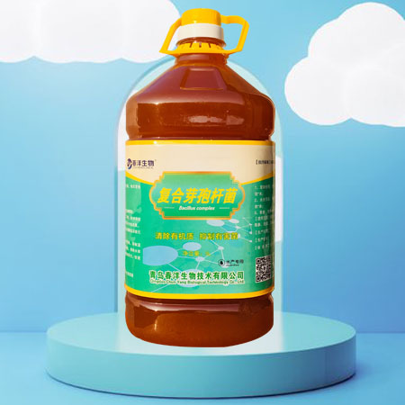 复合芽孢杆菌