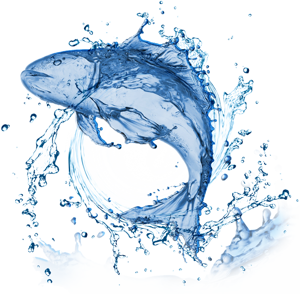 描述