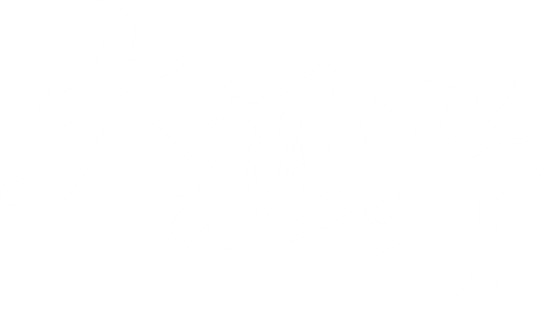 描述