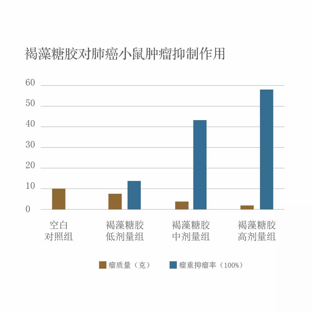 褐藻糖胶具有抑制肺癌肿瘤生长的作用1