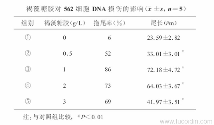 褐藻糖胶可以诱导肿瘤细胞凋亡而发挥抗肿瘤作用2