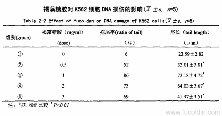 褐藻糖胶可以抑制白血病细胞生长2