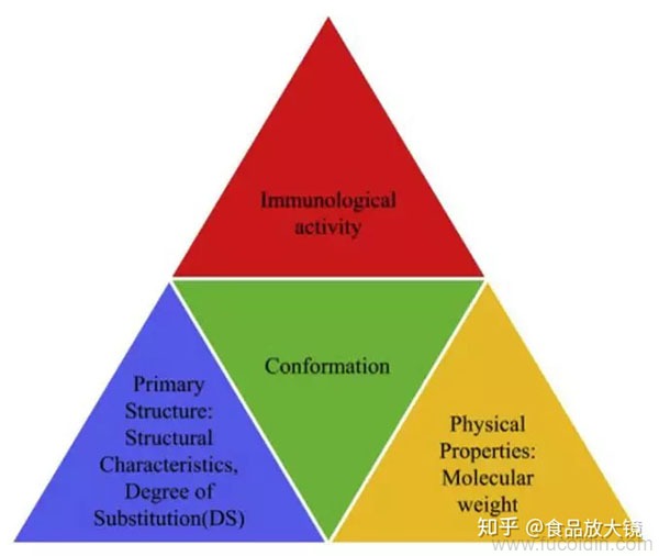 多种因素构筑硫化多糖免疫学活性示意图