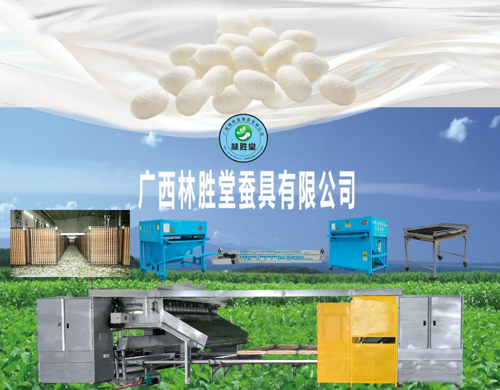 林胜堂生产线合集