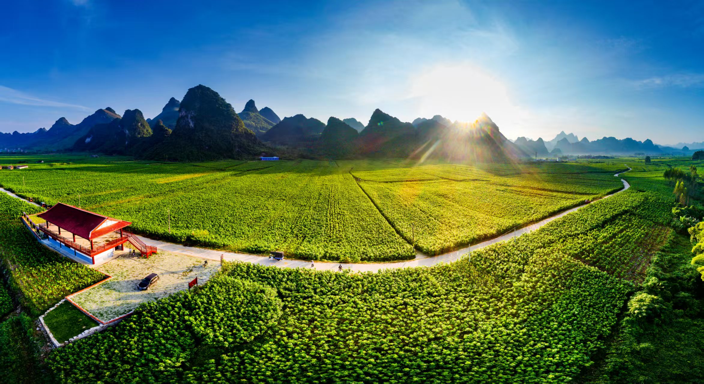 林胜堂省力化一体化种桑养蚕取茧摘茧