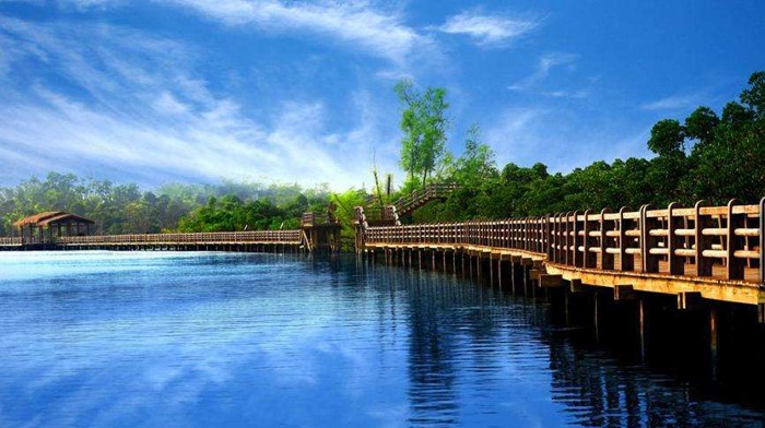 Dongzhai Harbor Mangrove