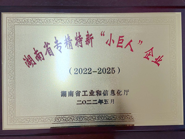 湖南省专精特新小巨人企业