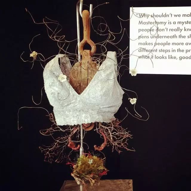 美国癌症研究学会年会会场上的雕塑展览“上装项目”，最初由艺术家弗劳拉-哈恩为了支持正在接受乳腺癌治疗的朋友而作