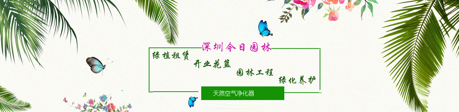 绿植租赁，找深圳市今日园林有限公司，电话：15361486313