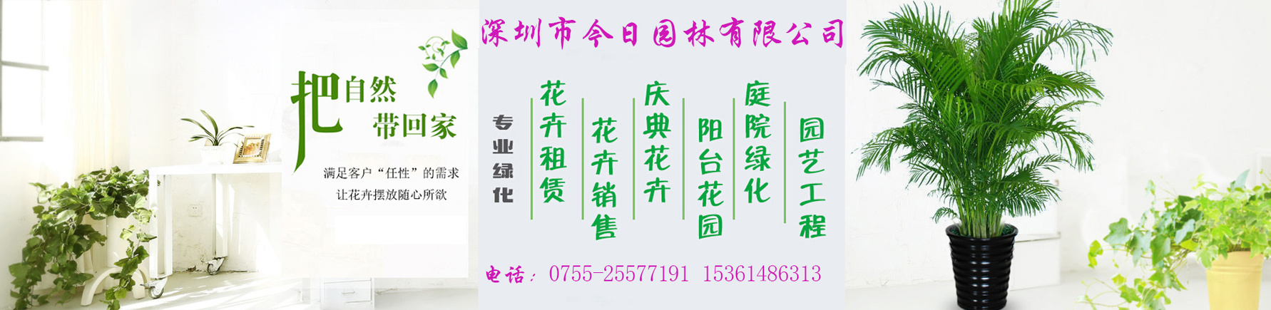 綠植租賃，找深圳市今日園林有限公司，電話：15361486313