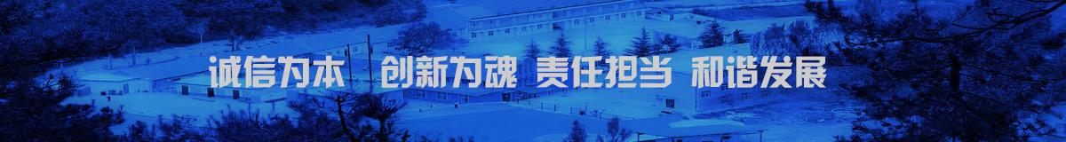 描述