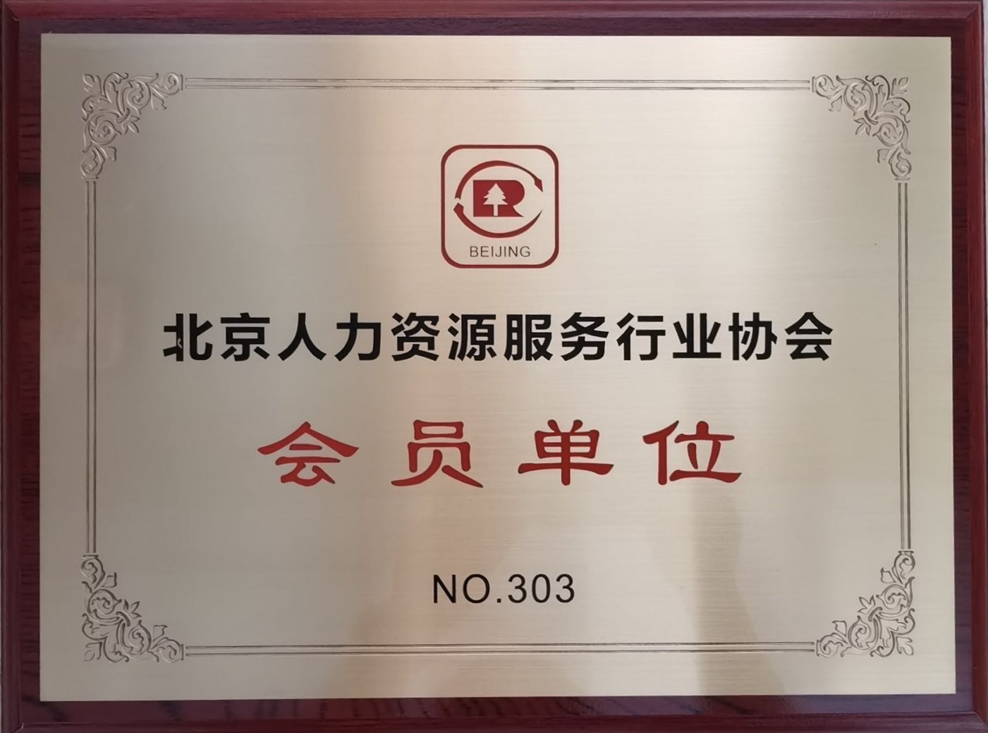 会员单位