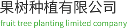 描述