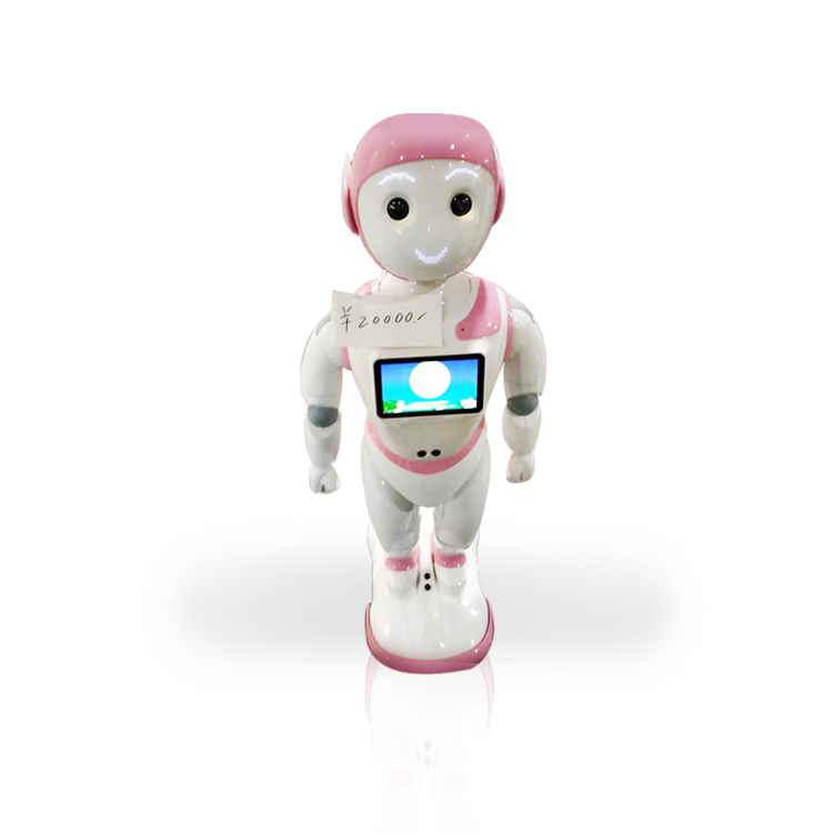 南京智能機器人