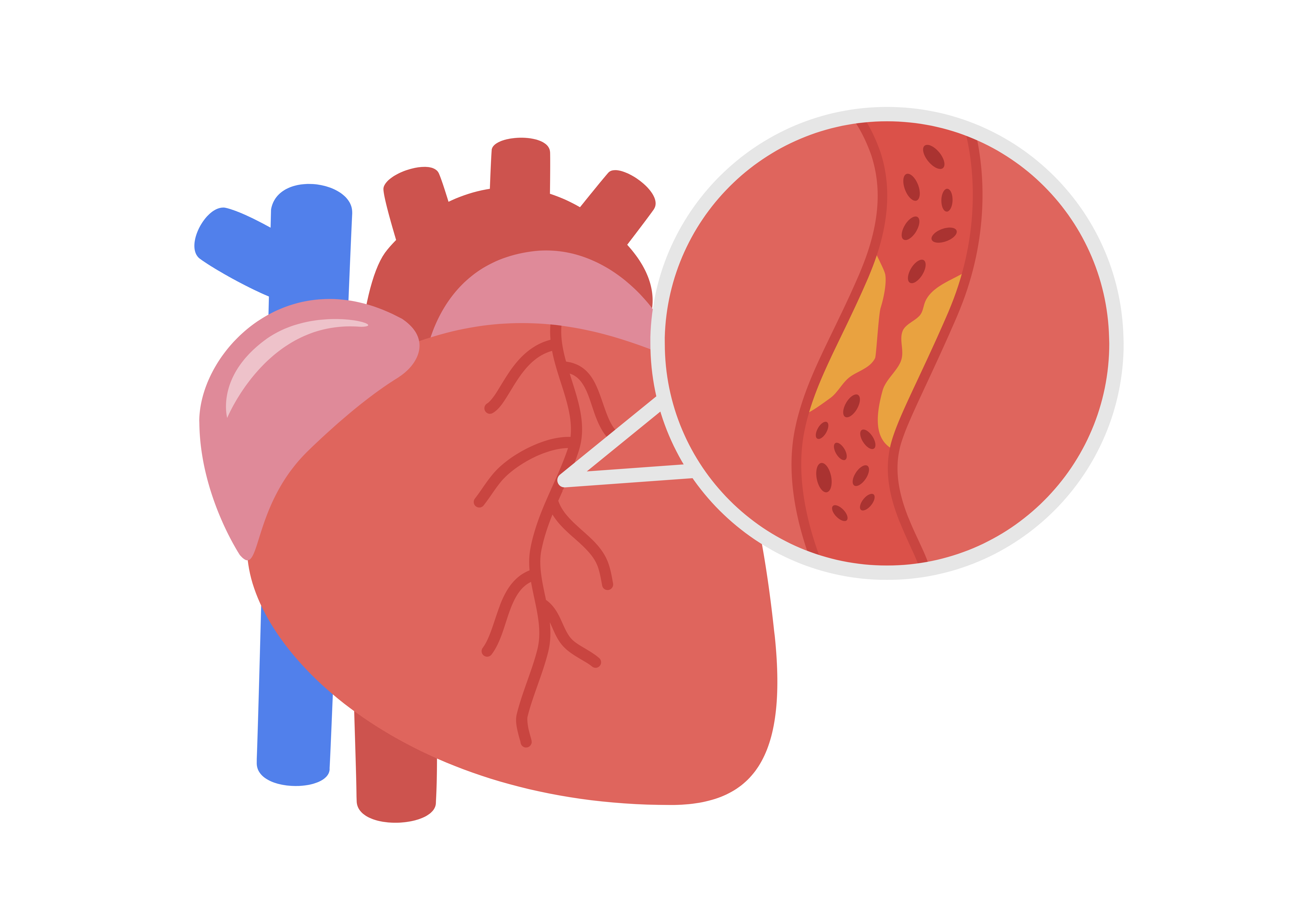 描述