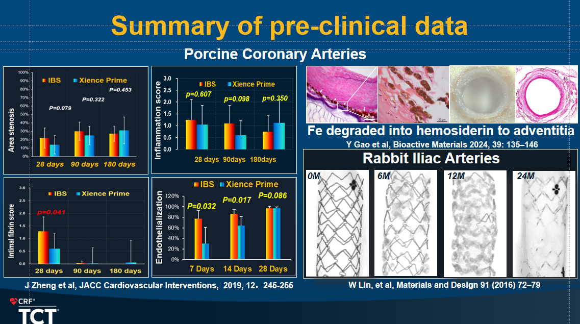 临床前动物实验结果