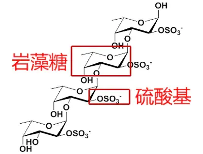 岩藻多糖分子式