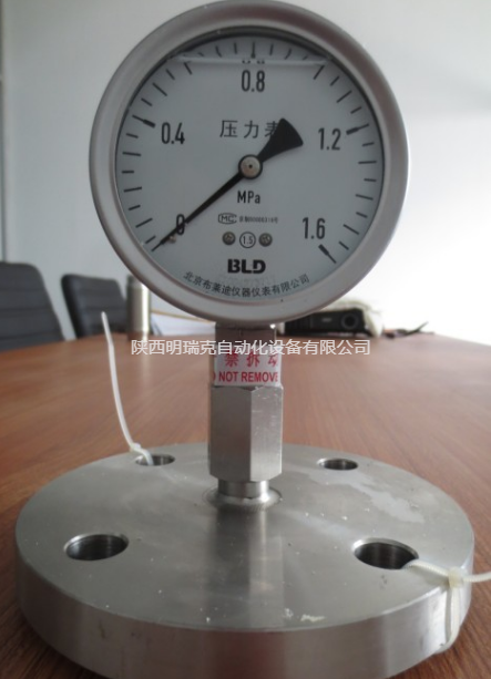 BLD布莱迪隔膜耐震压力表YTHN-100  0-1.6MPA