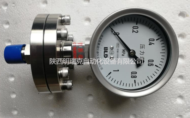 BLD布莱迪隔膜压力表PYTNH-100   0-1MPA