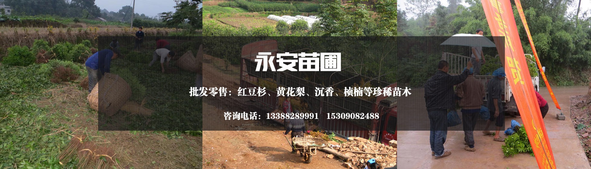 baner 永安