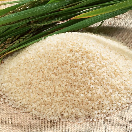 种业产品-稻米