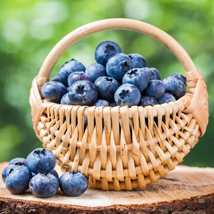 有机食品-蓝莓