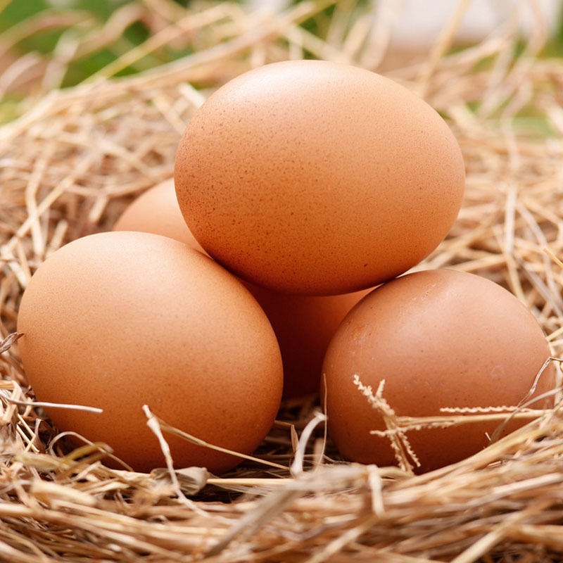 农副产品-鸡蛋