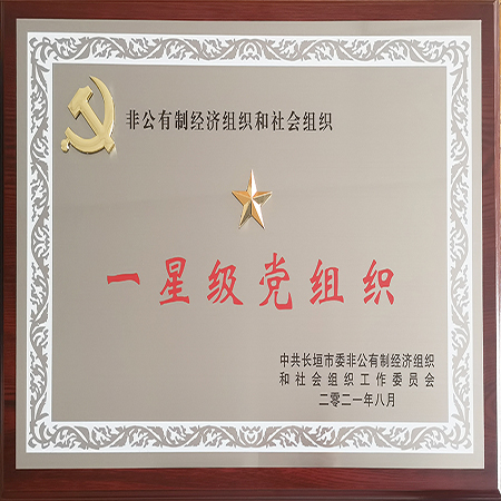 集团党支部荣获一星级党组织荣誉称号