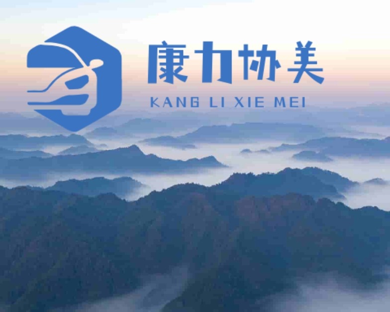康力协美汽车