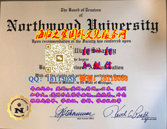 美国诺斯伍德大学毕业证图片