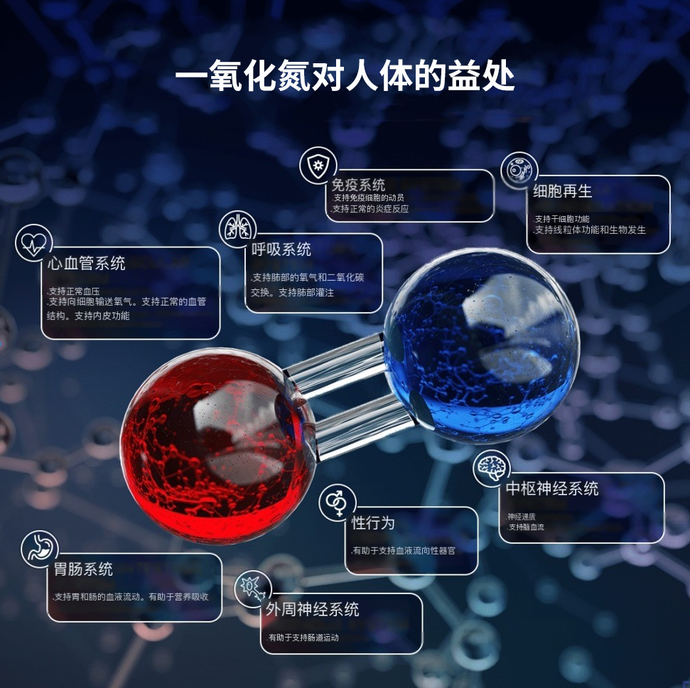 一氧化氮（NO）是人体内一个重要的信号分子，对于多种生理过程至关重要。它主要由内皮细胞产生，作为一种血管扩张剂，有助于调节血压和增加血管中的血流量。除了对心血管系统的影响外，一氧化氮还在神经传递、免疫系统功能以及细胞的死亡过程中扮演着角色。然而，从20岁开始，人体一氧化氮生成量每10年下降10~12%。到了40-50岁，我们只有50%了。一氧化氮的产生量的减少被认为是大多数慢性疾病发病和进展的前提条件，包括全球人类的头号杀手——心血管疾病。
