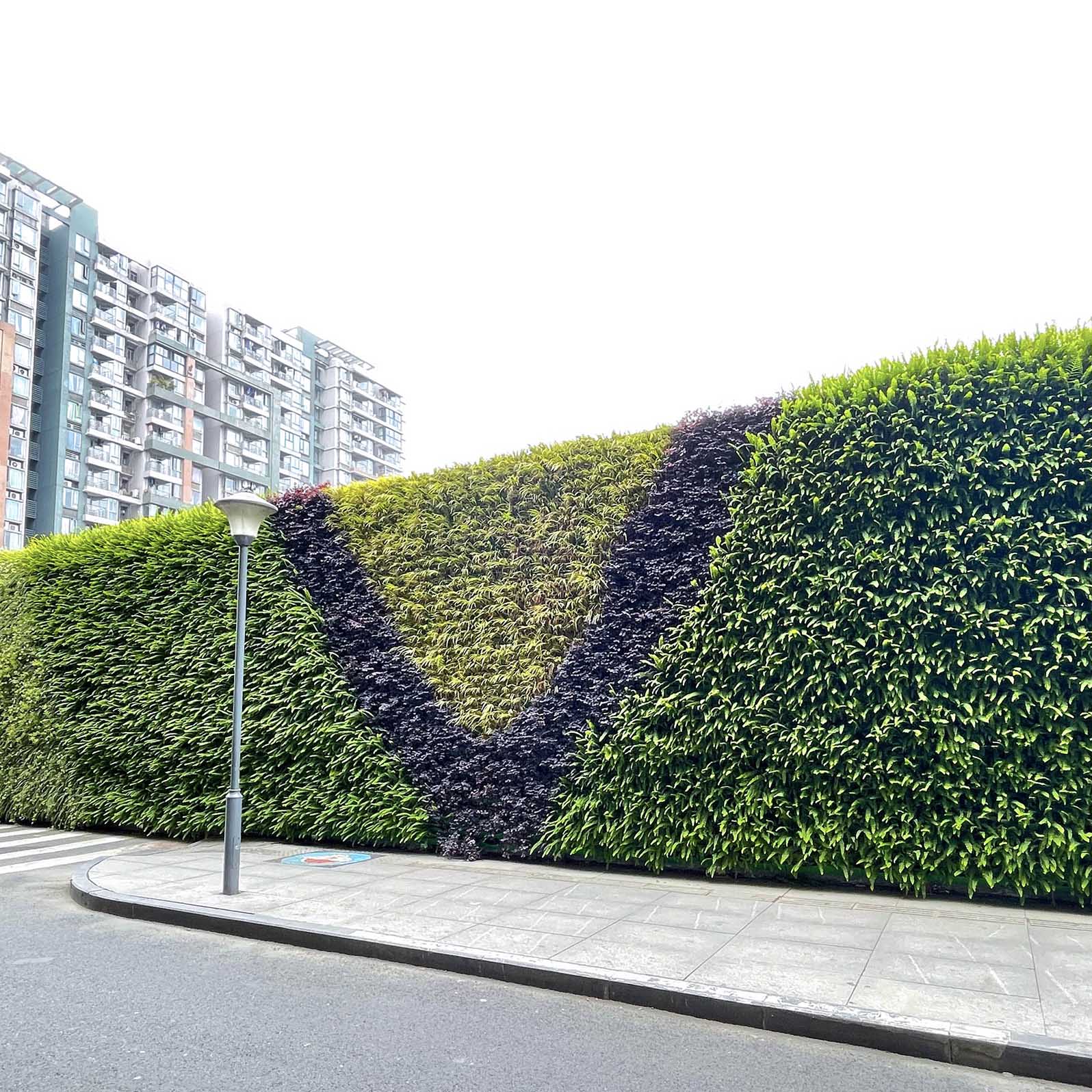 街道植物墙案例