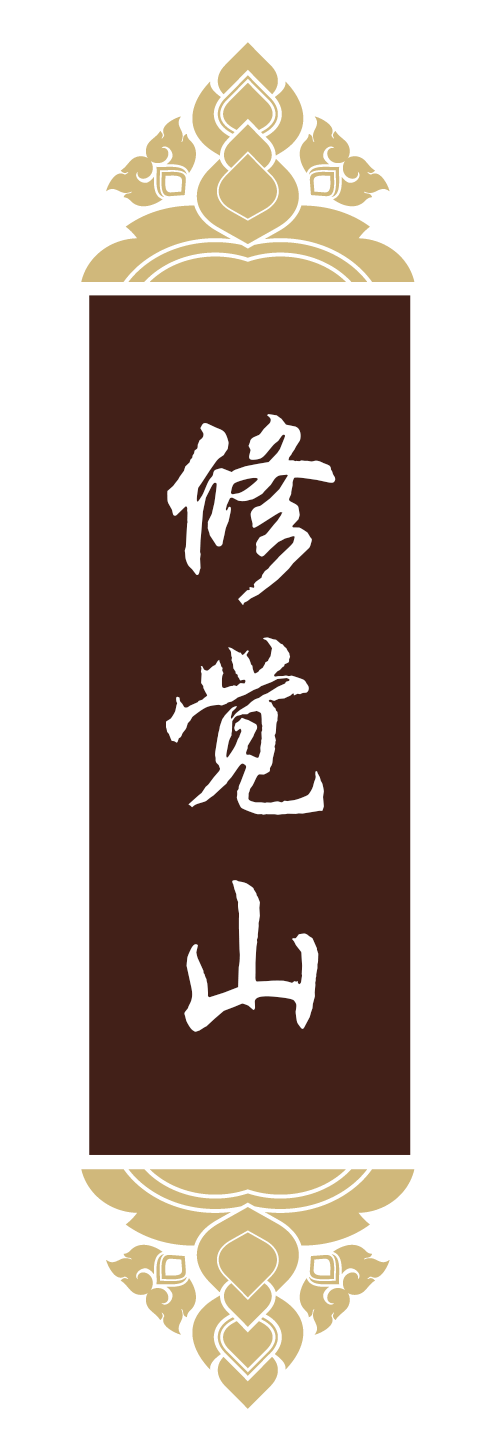 描述