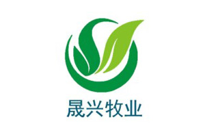 logo4
