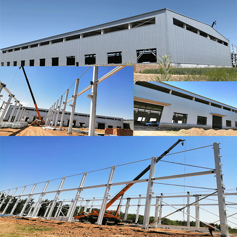 Prefabricated Warehouse Shed Light Steel Structure Buildings