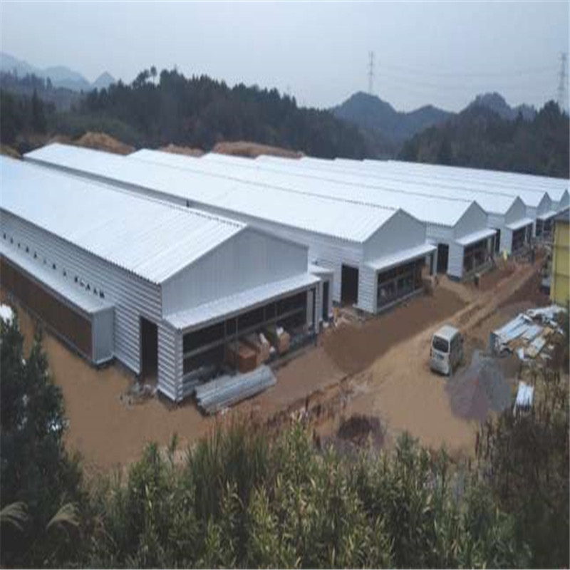 Prefabricated Steel Structure Poultry Farm Livestock House