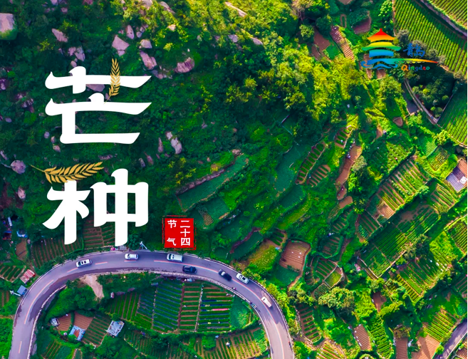 截屏2025-06-06 上午11.38.56