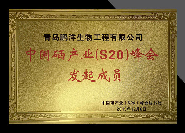 zizhi21417-1