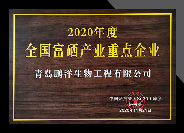zizhi21417-2