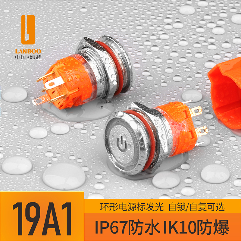 LB19A1（19mm金属按钮开关复位自锁式带灯防水IP65不锈钢）