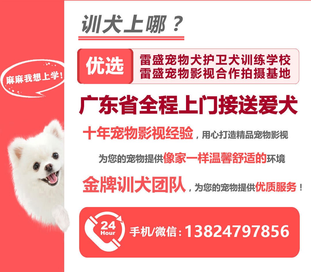 描述