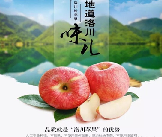 陕西农业产品 陕西农业产品