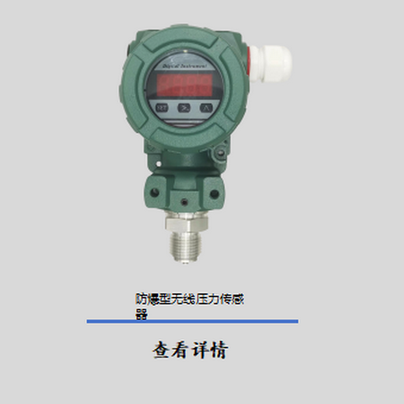 PTB2088S客体数显压力变送器/防爆壳体压力传感器