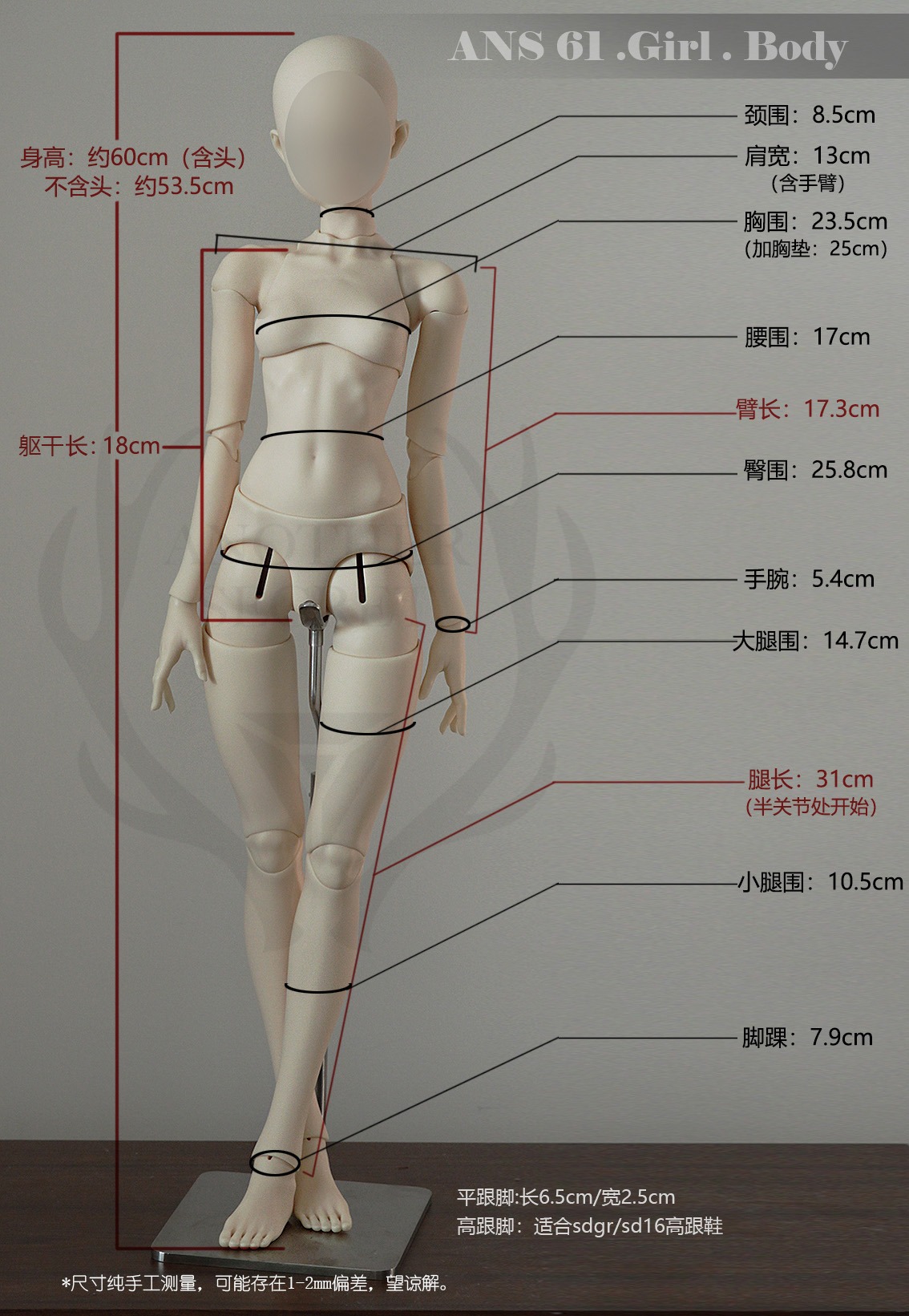 ans61size